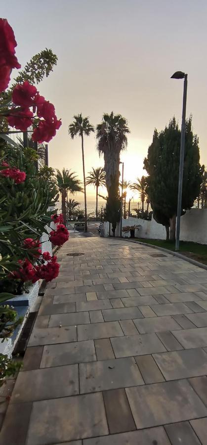 Apartamento Playa Las Americas Playa de las Americas  Zewnętrze zdjęcie